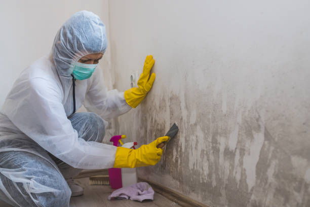 Mold Documentation for Insurance Claims in Port Salerno, FL
