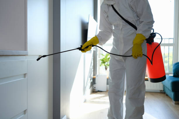 Best Mold Removal for HVAC Installations  in Port Salerno, FL