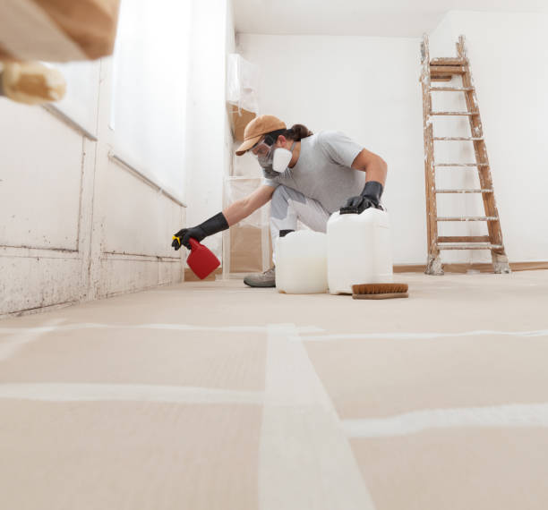 Best Attic Mold Removal  in Port Salerno, FL