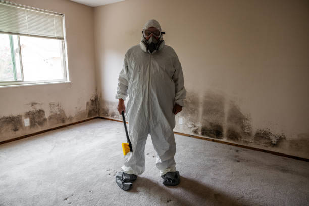 Best Mold Damage Restoration  in Port Salerno, FL